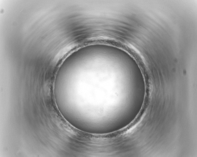 X0000088910921200706221926