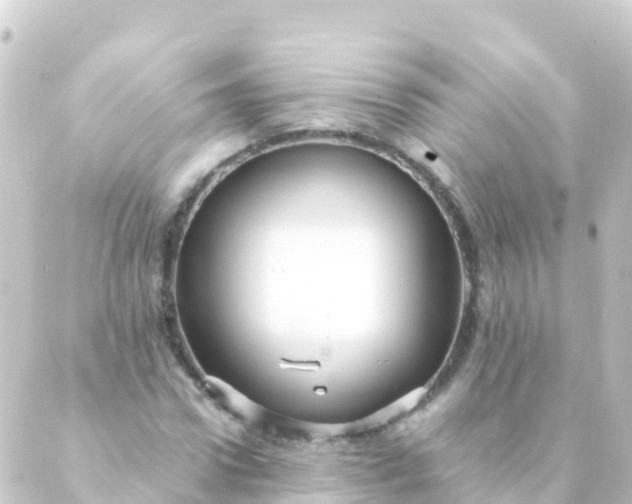 X0000088910922200706221926