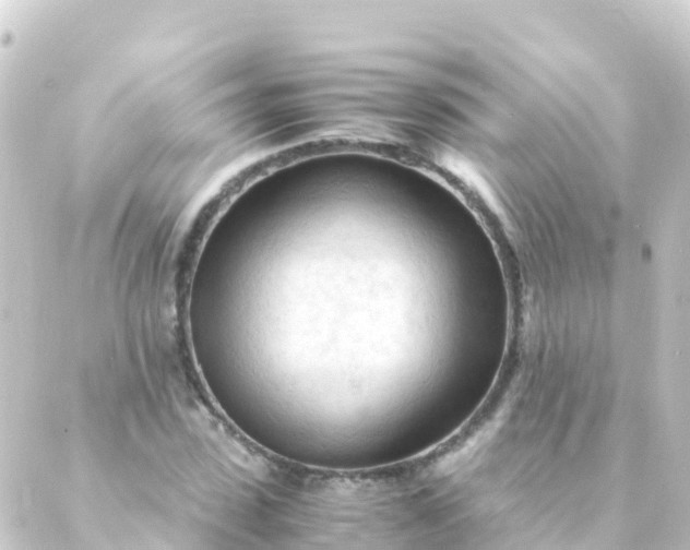 X0000088910923200706221926