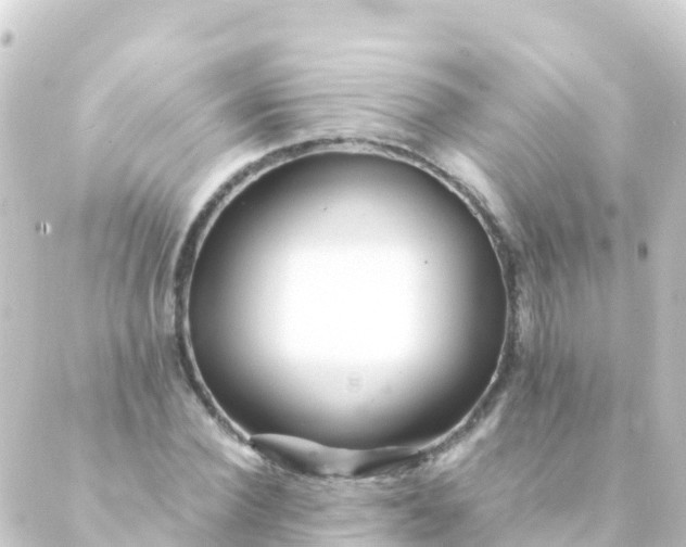 X0000088910924200706221926