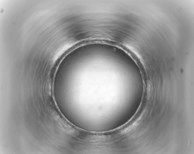 X0000088910925200706221926