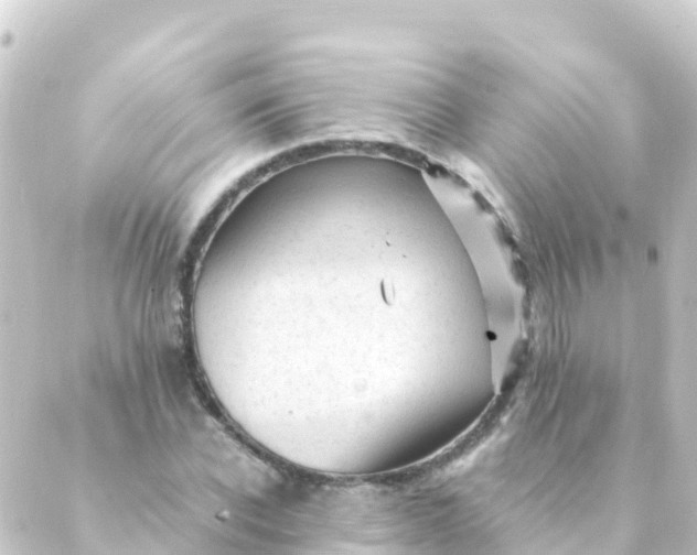 X0000088910926200706221926