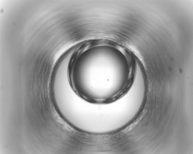 X0000088910928200706221926