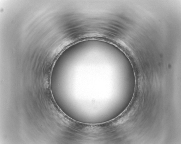 X0000088910929200706221926