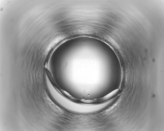 X0000088910930200706221926