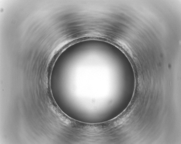 X0000088910931200706221926