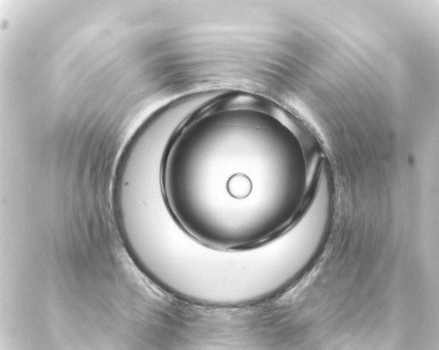 X0000088910932200706221926