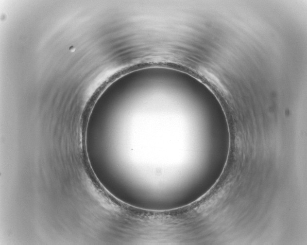 X0000088910934200706221926