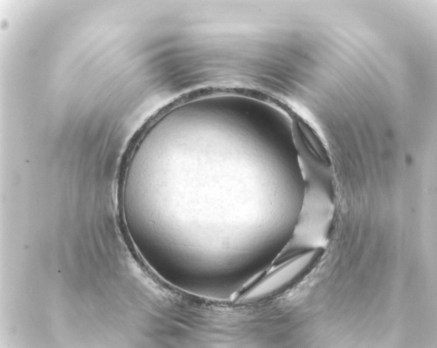 X0000088910935200706221926