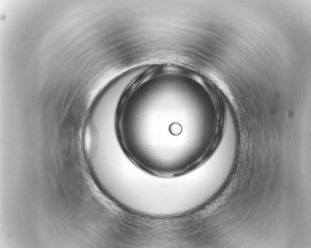 X0000088910936200706221926