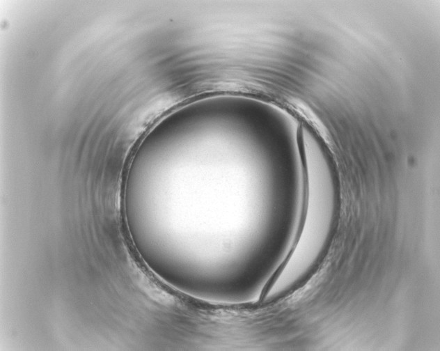 X0000088910938200706221926