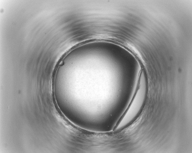 X0000088910939200706221926