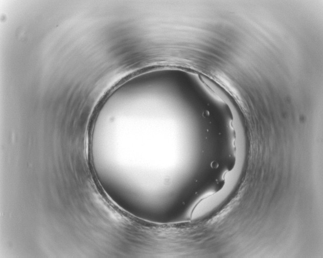 X0000088910940200706221926