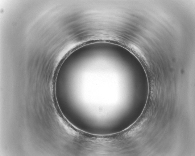 X0000088910942200706221926