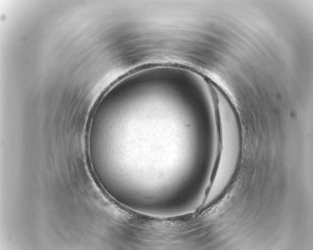 X0000088910943200706221926