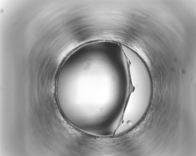 X0000088910944200706221926