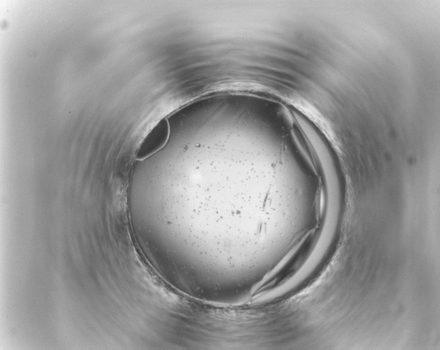 X0000088910945200706221926