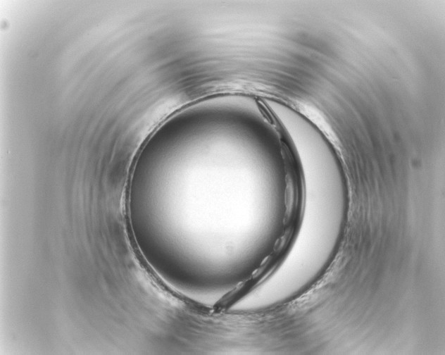 X0000088910946200706221926