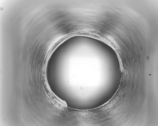 X0000088910948200706221926