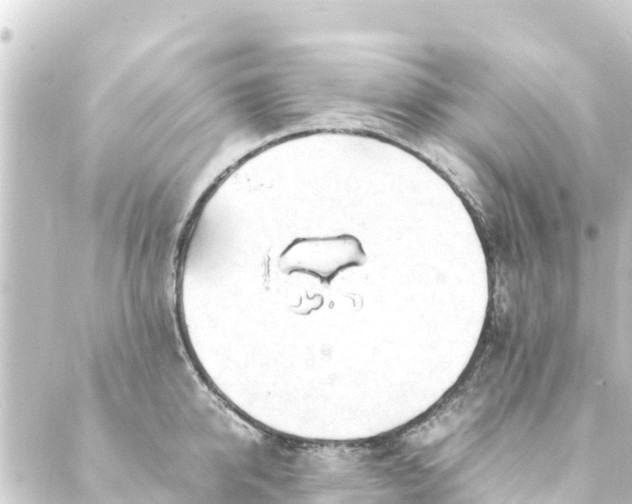 X0000088910950200706221926