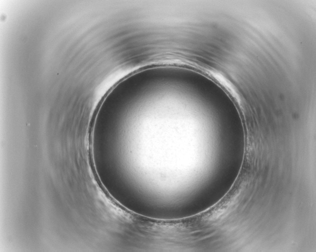 X0000088910951200706221926