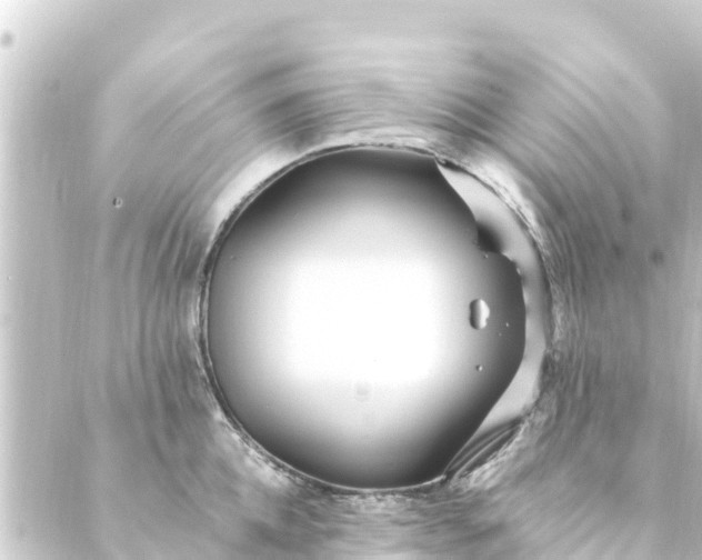 X0000088910952200706221926