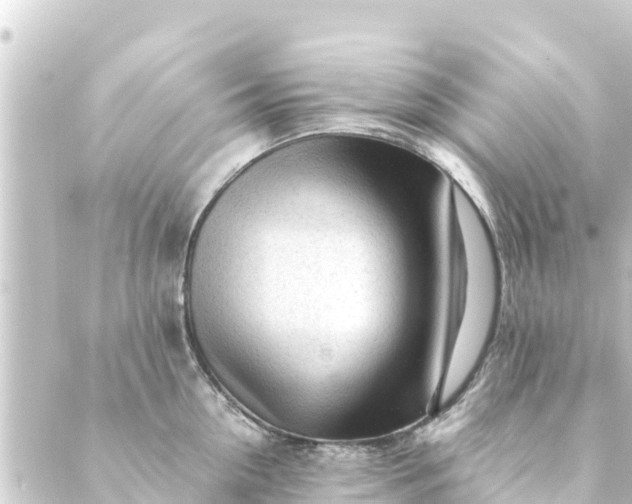 X0000088910954200706221926