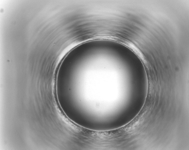 X0000088910955200706221926