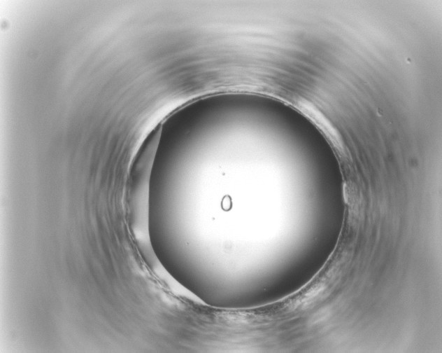 X0000088910956200706221926