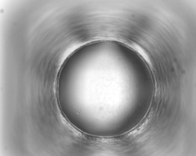 X0000088910958200706221926