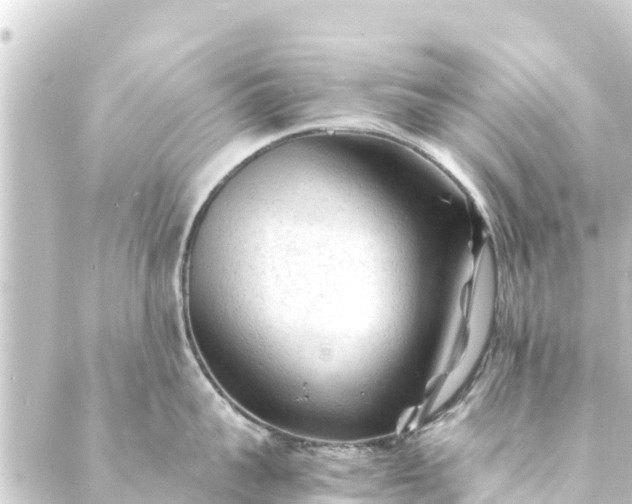 X0000088910959200706221926