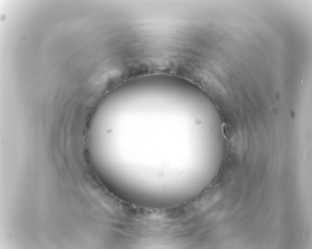 X0000088910961200706221925