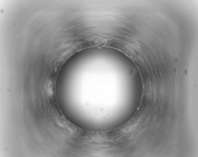 X0000088910962200706221925