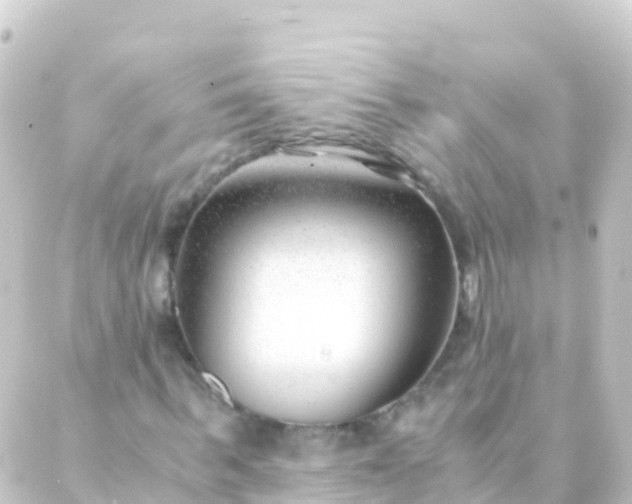 X0000088910963200706221925