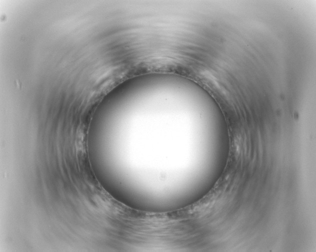 X0000088910964200706221925