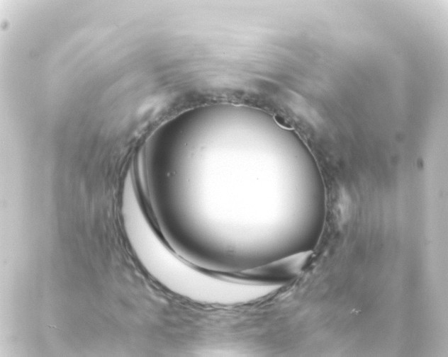 X0000088910965200706221925