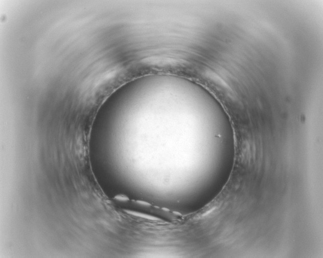 X0000088910966200706221925