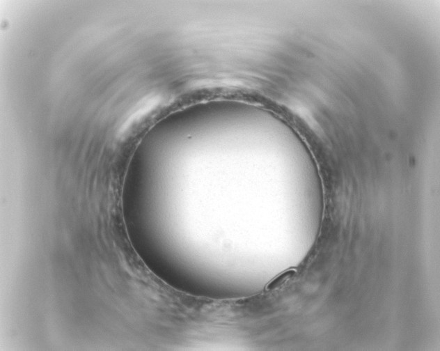 X0000088910967200706221925