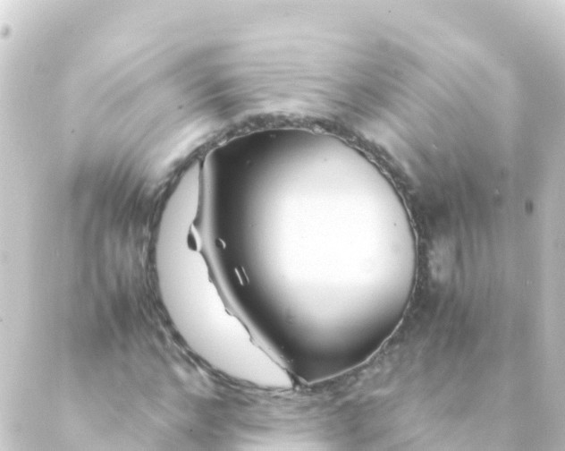 X0000088910968200706221925