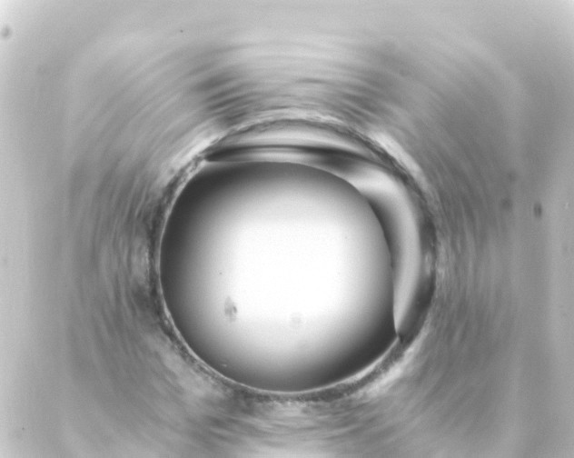 X0000088910969200706221925