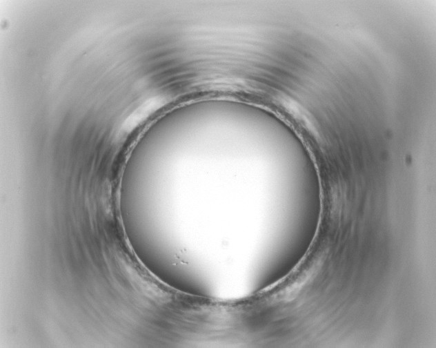 X0000088910970200706221925