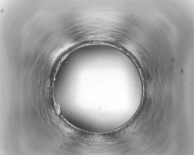 X0000088910971200706221925