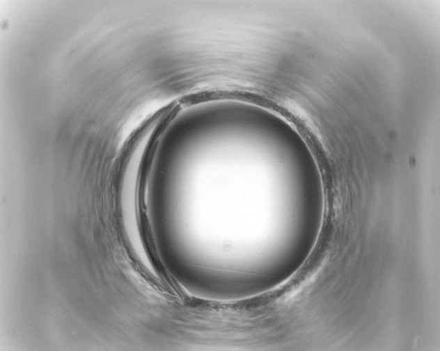 X0000088910973200706221925