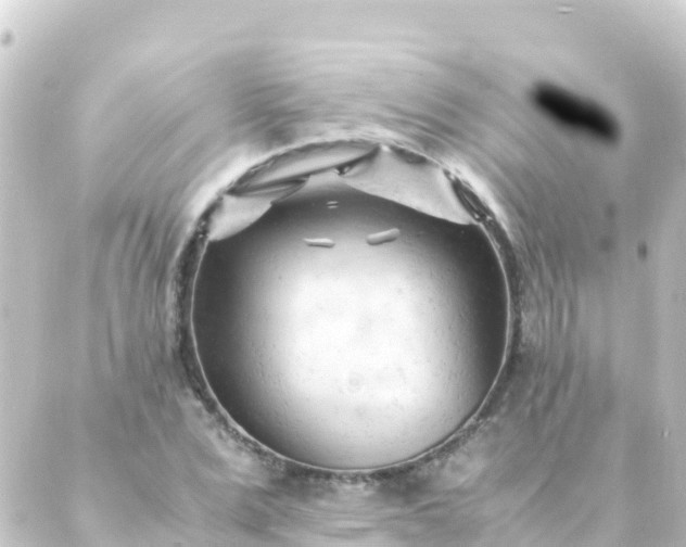 X0000088910975200706221925