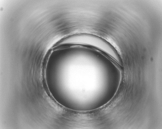 X0000088910976200706221925