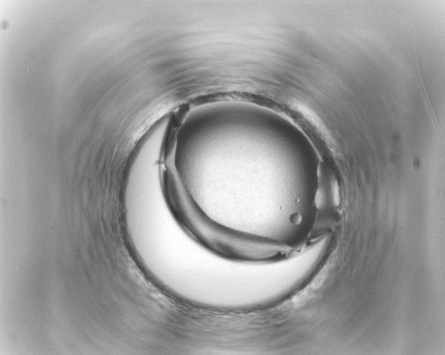 X0000088910977200706221925