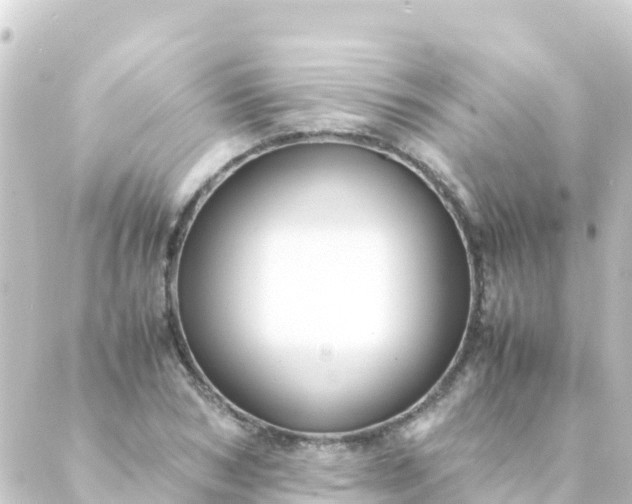 X0000088910978200706221925