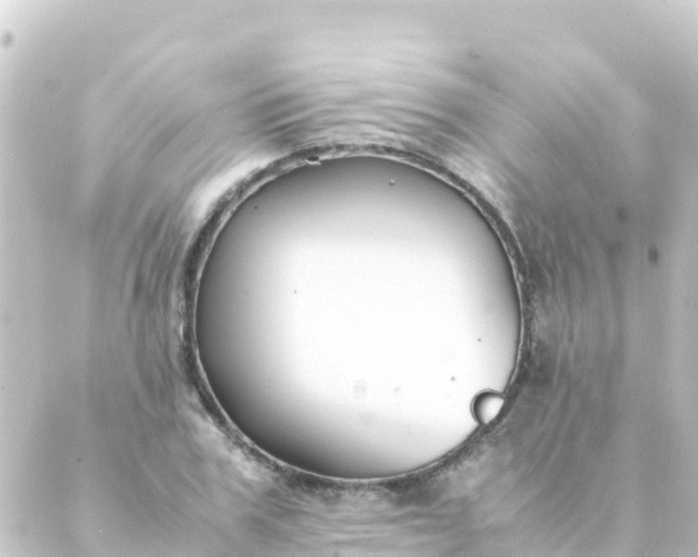 X0000088910979200706221925