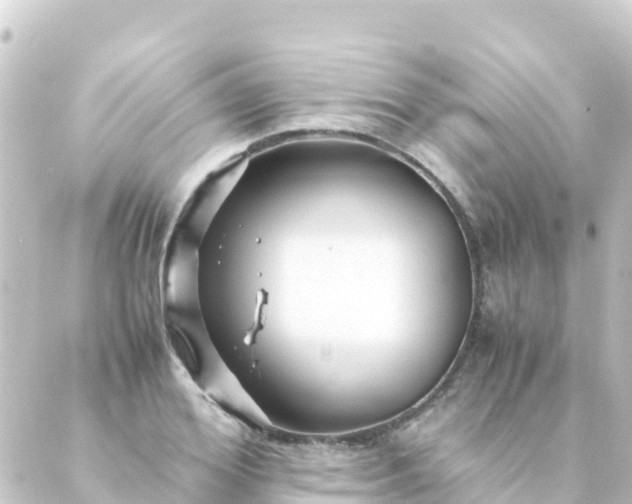 X0000088910980200706221925