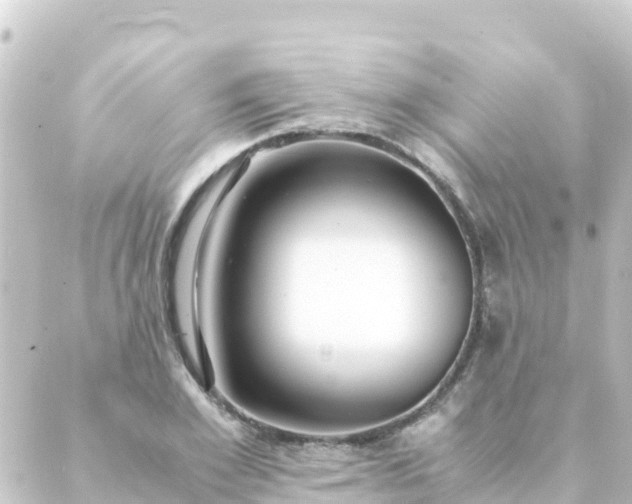 X0000088910981200706221925